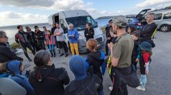 PXL_20240609_075157705