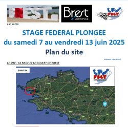 STAGE FEDERAL PLONGEE